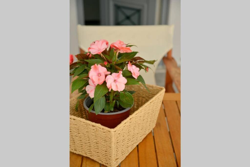 Alisahni Apartment 아다마스 외부 사진